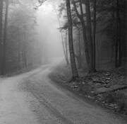 Bragg_road