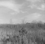 Cutler_park