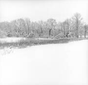 Fields__2