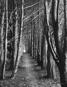 Gateless_gate__2