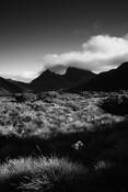 Cradle_mountain