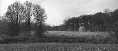 Green_space