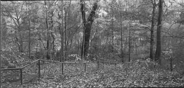 Running_fence
