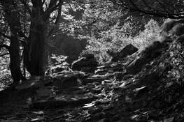 Passo_baranca__2