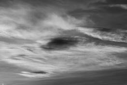 Untitled_5