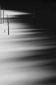 Creeping_shadows