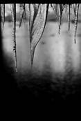 Ice_sails