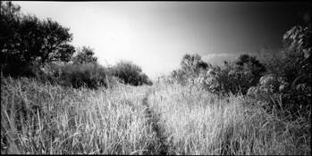 Lake_side__2