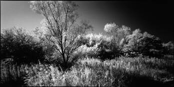 Lake_side__6