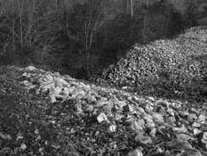 Elements_of_landscape_4