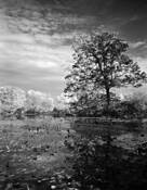 Elements_of_landscape_8