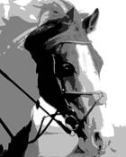 Paint