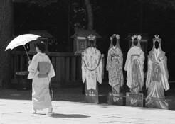 Untitled_5