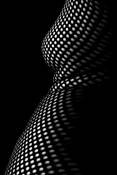 Forms_2