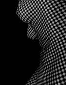 Forms_5