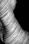 Forms_7