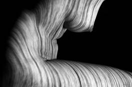 Forms_8