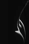 Slow_curves_1