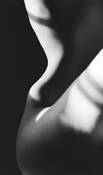 Bodyline