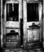 Untitled_02