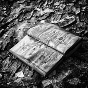 Untitled_07