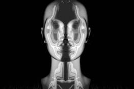 Mirror_face_3