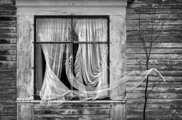Untitled_01e