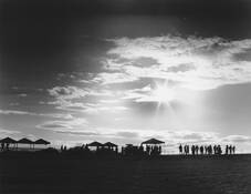 Homeward_bound