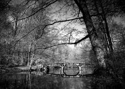 Silence