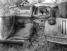 Ford__2