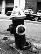 Broken_safety