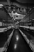 Life_below_05