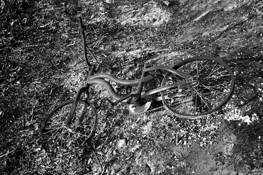 Burnt_bike