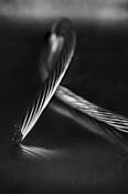 Copper_twist_on_stainless