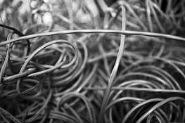 Insulated_wire_5