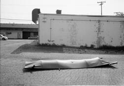 Beached