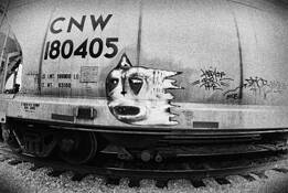 Graffiti_16