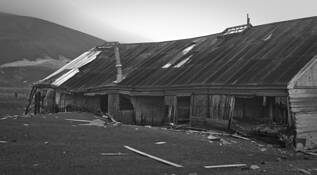 Reclaimed_by_the_earth