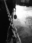 Captivity___pleasure