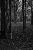 Play_series