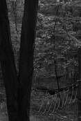 Play_series