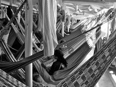 Hammock