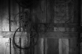 Homestead_interior