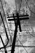 Untitled_1