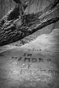 Untitled_10