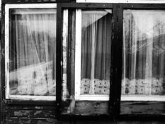 Greenhouse_06