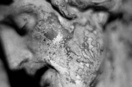 Vestige__1