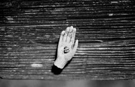 Vestige__23