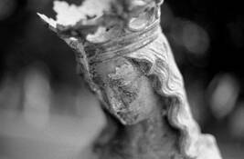 Vestige__8
