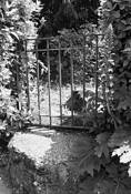 Enter_the_past